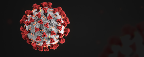 COVID-19 (the new coronavirus) and SERS-Related Activities